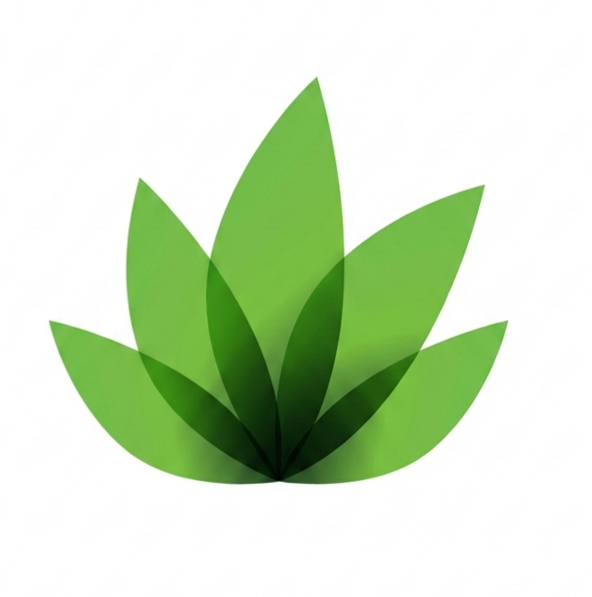 الإحصائيات